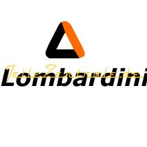 Turbocharger Lombardini