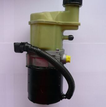 Power steering pump RENAULT 491107211R