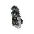 Pompe d'injection BOSCH 0460424403 504208082 - 3