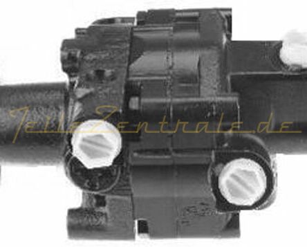 Power steering pump 1141285 32411141285 53954 8691955156 DSP689 QSRPA93 SP8689