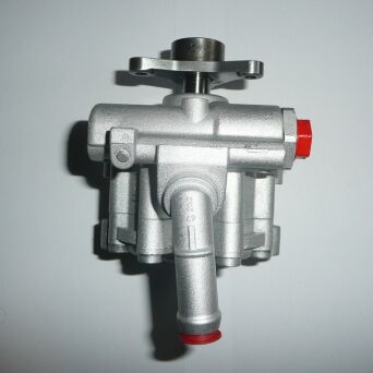 Power steering pump RENAULT 491101736R