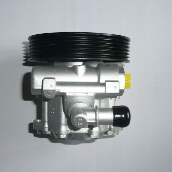 Power steering pump PUEGOT 7691955196