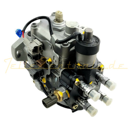 Injection pump DENSO 096500-013# 096500-0130 096500-0131 096500-0132 096500-0133