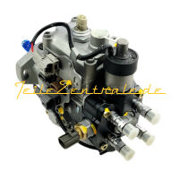 Injection pump DENSO 096500-013# 096500-0130 096500-0131 096500-0132 096500-0133