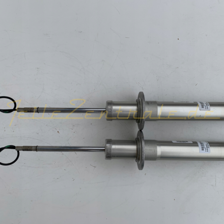 Maserati Quattroporte Stoßdämpfer hinten NEUE ORIGINAL x2 248254