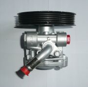 Power steering pump 4910065D40