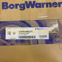 NUOVO BorgWarner KKK Turbocompressore   Citroen Jumper 2.0 D 53039700521 53039880521 (DEPOSITO!)