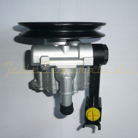 Servopumpe Hydraulikpumpe Lenkung NISSAN 491100F000