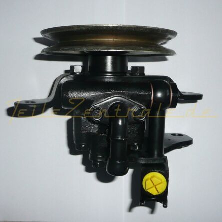 Pompe de direction assistée  Terrano 491107F005