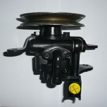 Power steering pump Terrano 491107F005