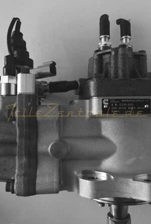 NEUE Einspritzpumpe CUMMINS 3973228 6745711170 4921431 4903462 4954200 3973228  6745-71-1170 6745711170 87351412 84493585 4954200 4954200NX 4954200RX 4935674RX 4935674NX 2897500 2897500NX 2897500RX 4088643 4086604 4921434 4902731 4903462 4921431 4921431NX