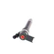 Injector BOSCH CR Volvo 0445110251 - 2